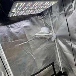 Grow Tent 