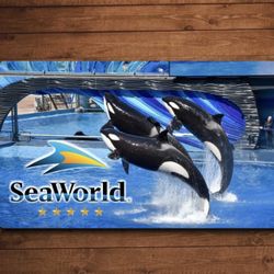 SEAWORLD SAN DIEGO DAY  🎟️ 
