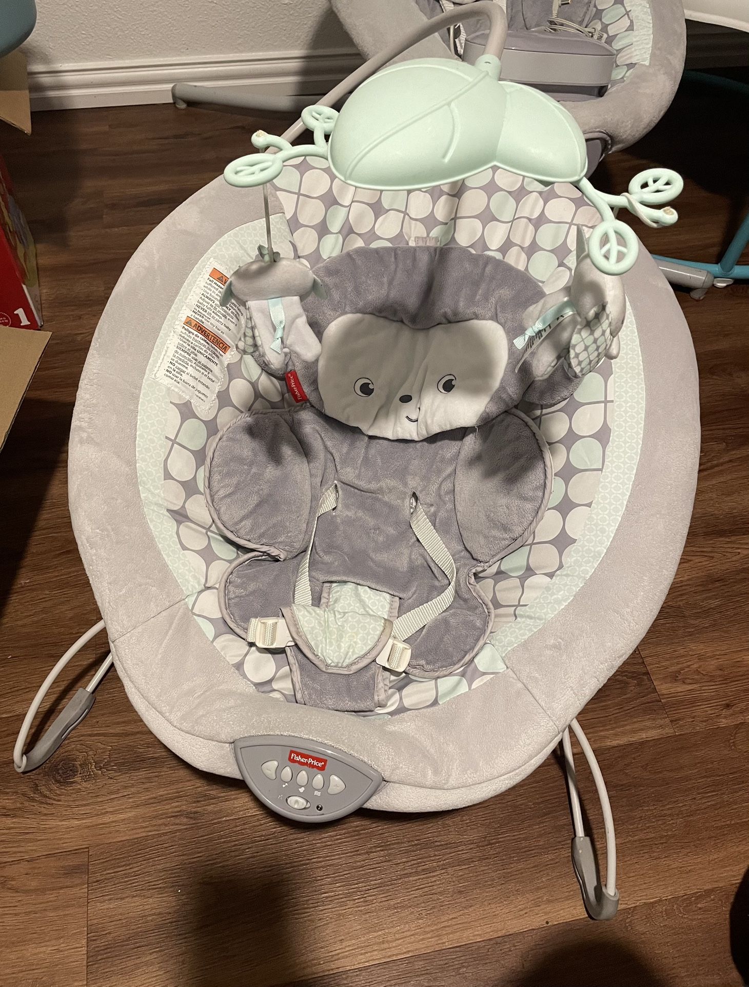 Bouncer and Swing Set