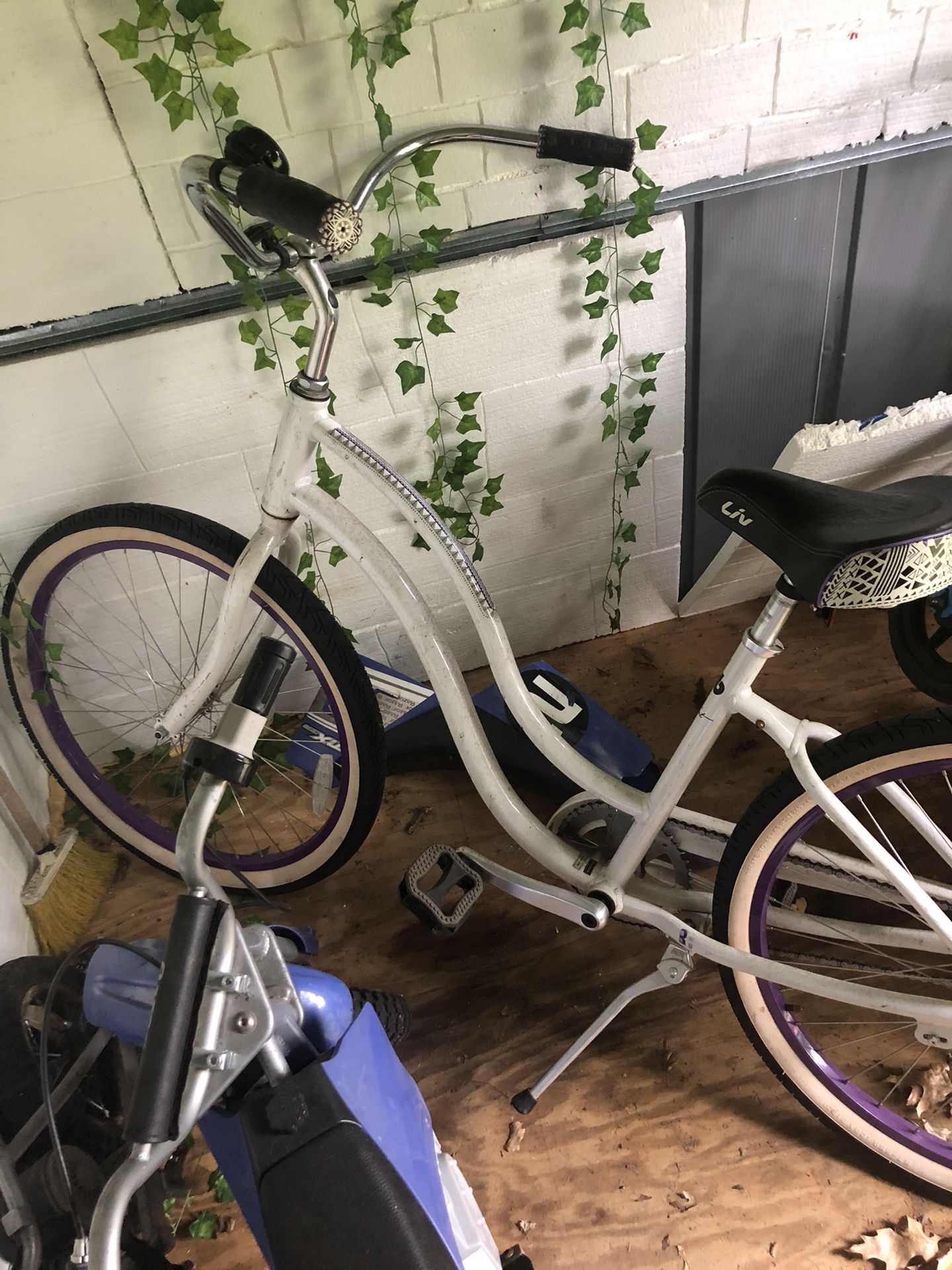Beach Cruiser Bike