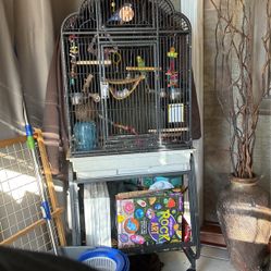 Bird Cage And 2 Parakeets For Sale 