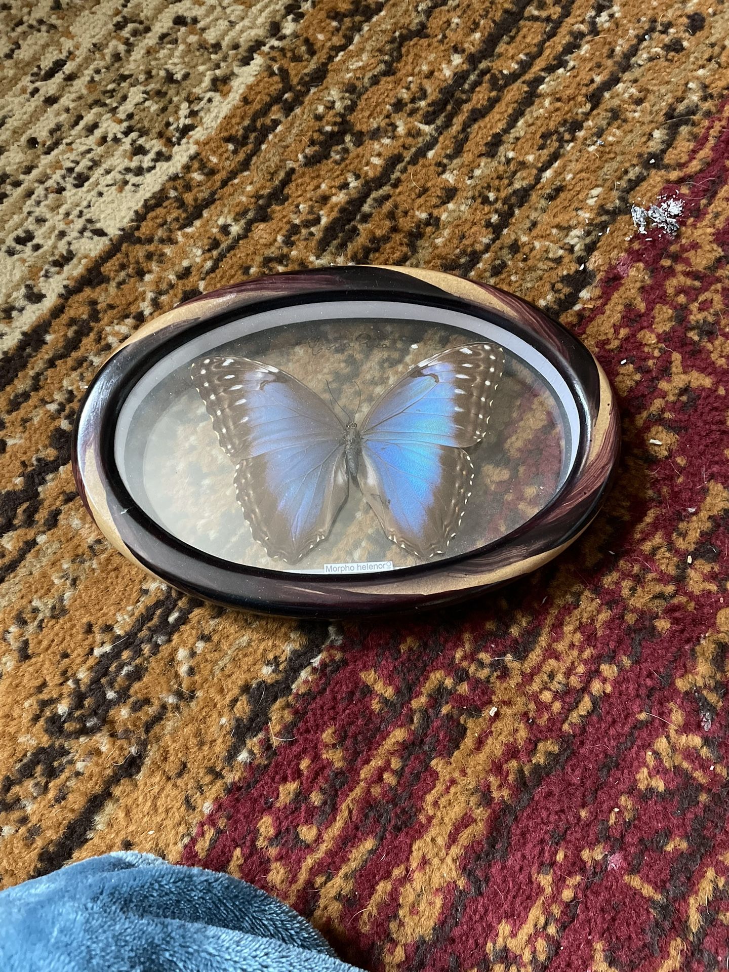 Butterfly Wall Decor