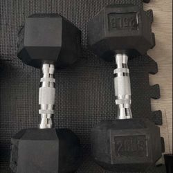 25 Pound Dumbbells