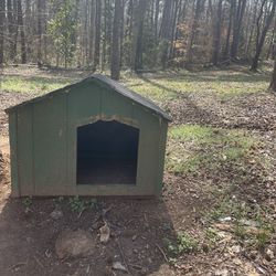 Dog house 