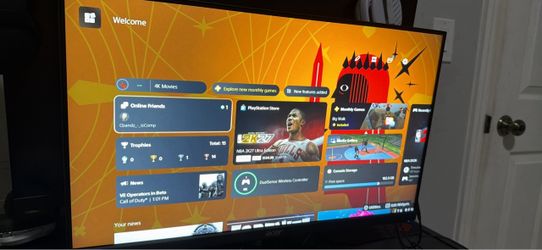 Acer Flat Screen Monitor