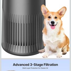 New. Air Purifiers for Bedroom Home, Air Purifier for Smoke Odors with Fragrance Sponge, Small Air P