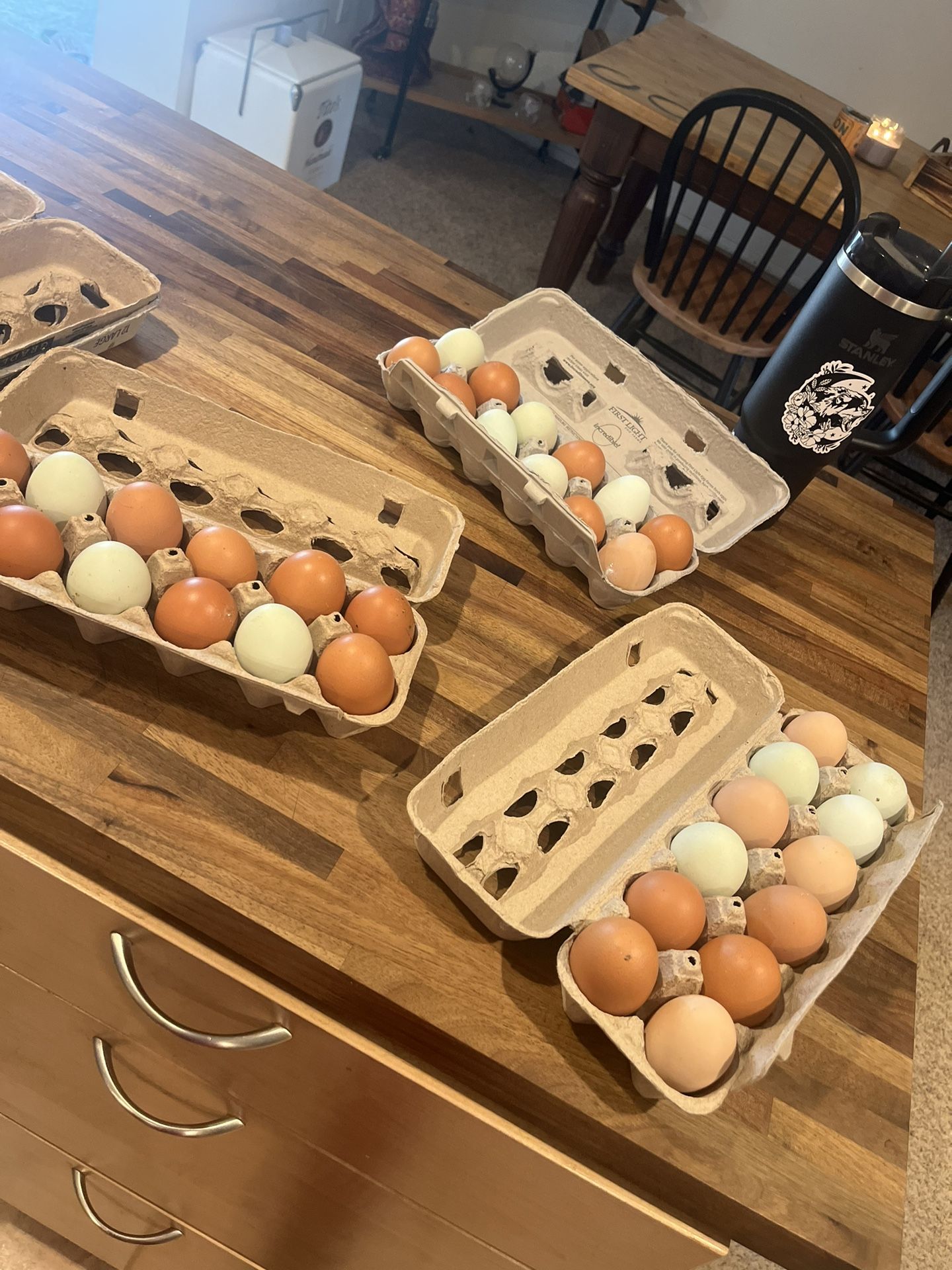 Fresh Eggs