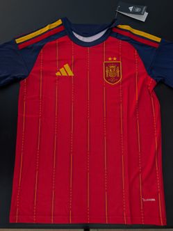 Spain soccer jersey