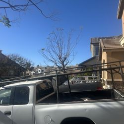 Se Vende La Pura Race 