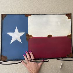 Metal Texas Flag Plant Holder