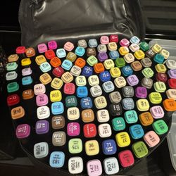 Alcohol Markers 120 Piece Dual Tip (new)