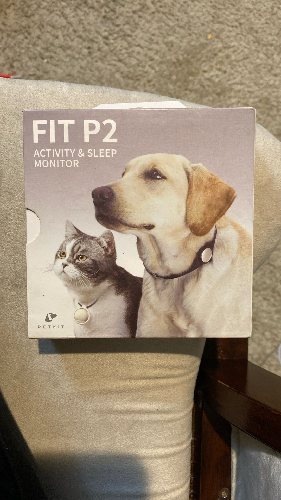 Petkit Fit P2 Pet Monitor, Moving Sale!