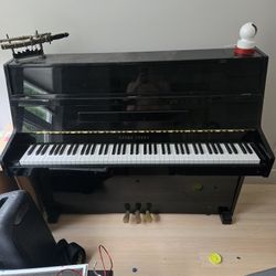 Black Gloss Slim Young Chang Piano