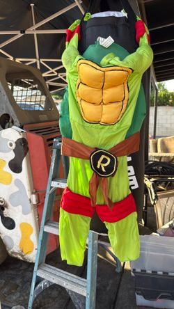 Ninja Turtle Costume