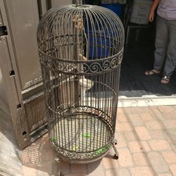 Parrot Cage 