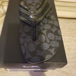 Men's Signature Webbing Flip Flops