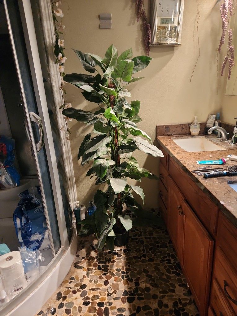 Fake Plants 