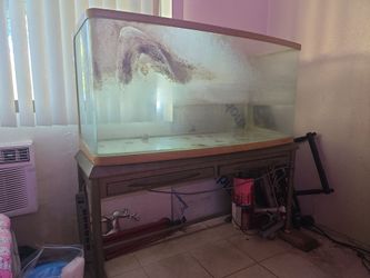 Fish tank