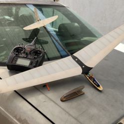Rc Glider  DLG