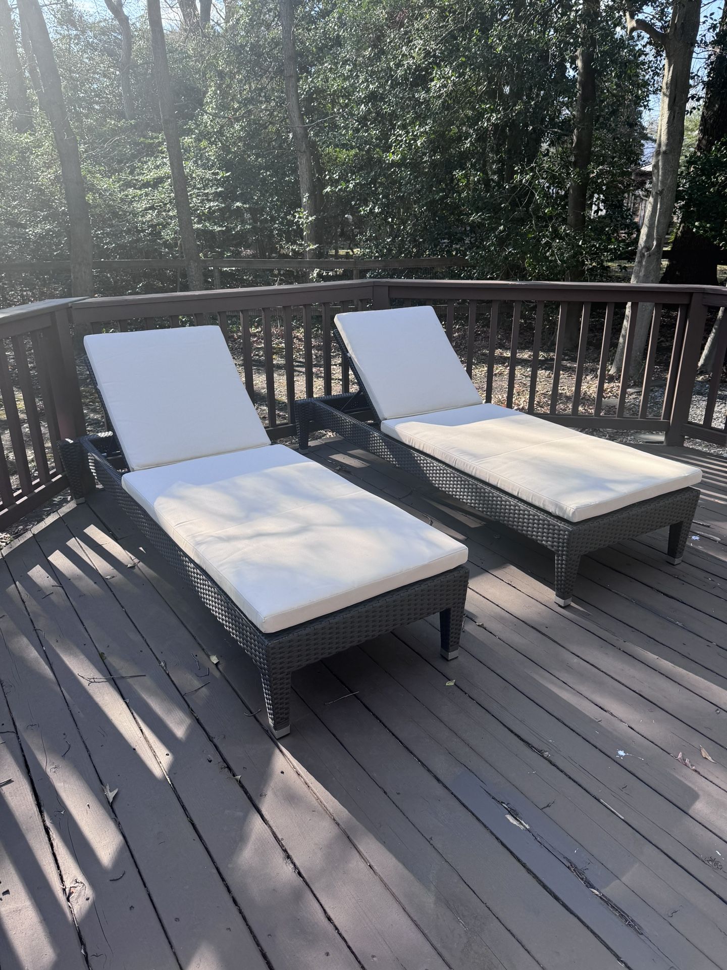 New Outdoor Lounge / Pool Chairs 