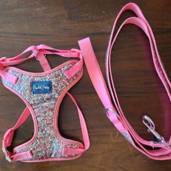 Dog Harness & Leash