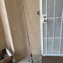 Vintage Fishing Pool & Reel Compresses Cp20