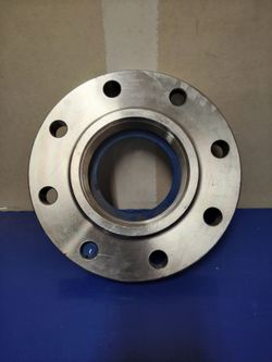 4 inch 316ss companion flange