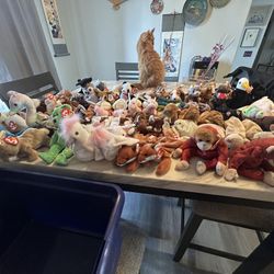 Original 1990 To 1999 Beanie Babies 61 In The Box