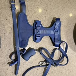 Wild One Walking Set (Collar, Leash, and Harness)