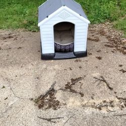 Dog House