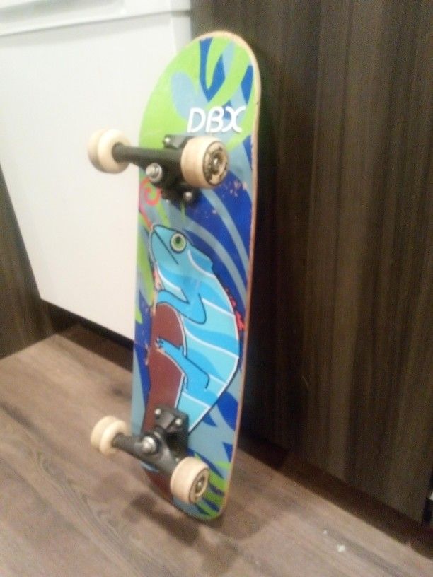 DBX SKATEBOARD