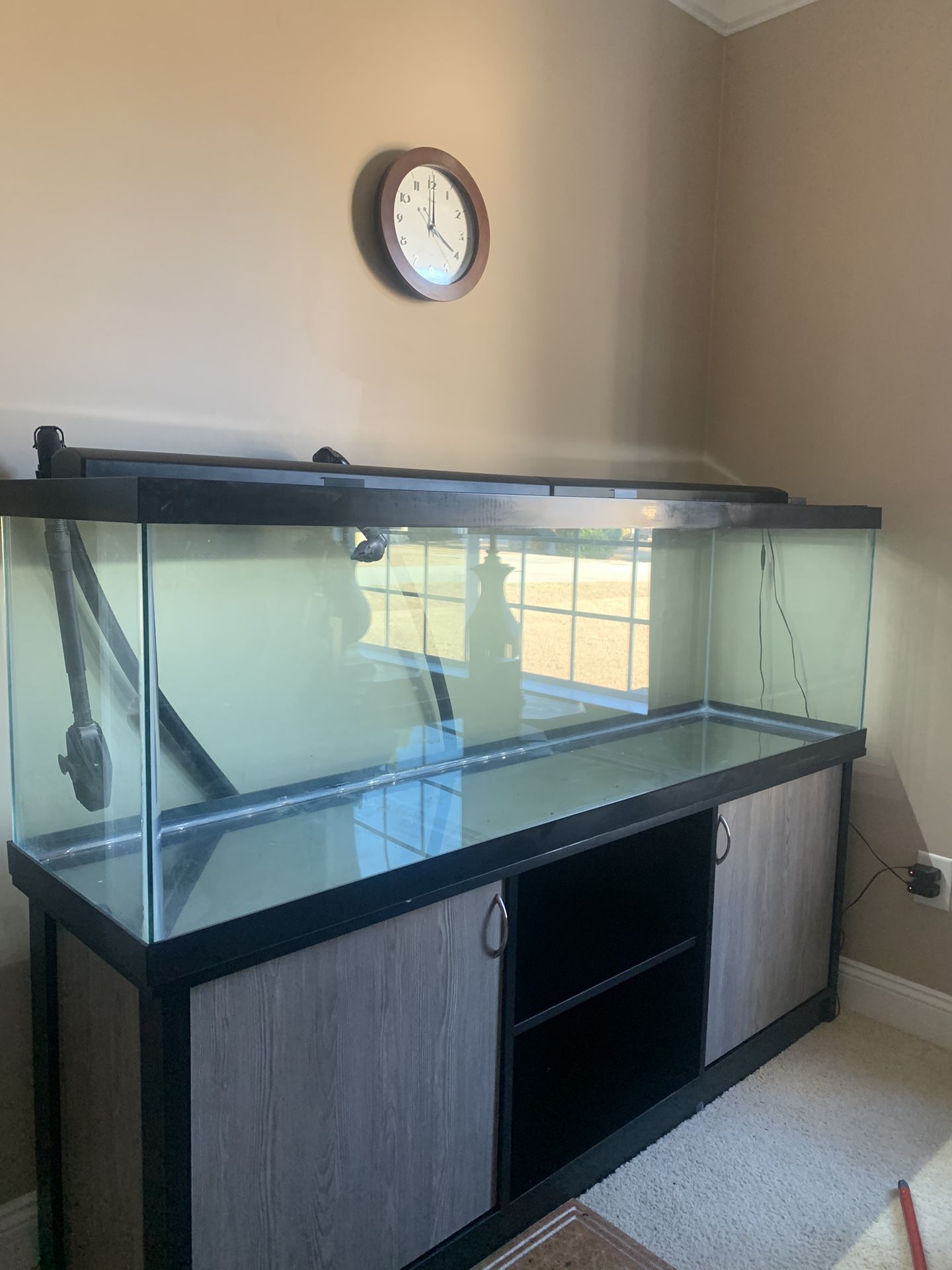120 Gal Aquarium And Stand