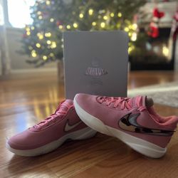 Nike LeBron XX “Sourh Beast” Sz 10.5