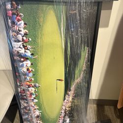 Tiger woods 20x40