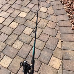 Spinning Rid & Reel