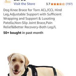 Dog Hind Legs Brace 