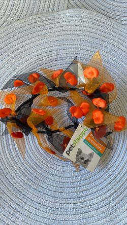 Halloween pet scrunchy accessory