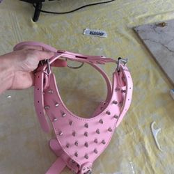 Spiked Dog Collar 