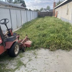 Toro Mower