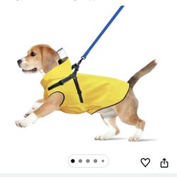 Dog raincoat.