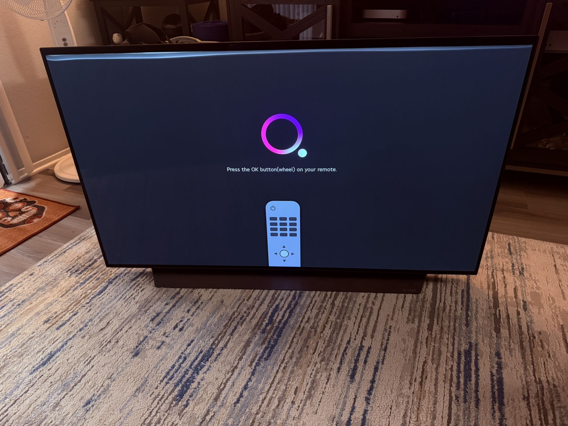 LG CX 48 Inch oled TV with Remote