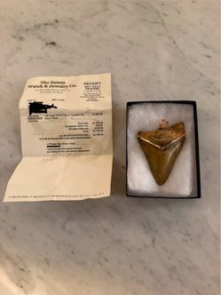 Custom 14K Rose Gold Shark Tooth Pendant — Receipt Included