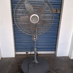 Fan