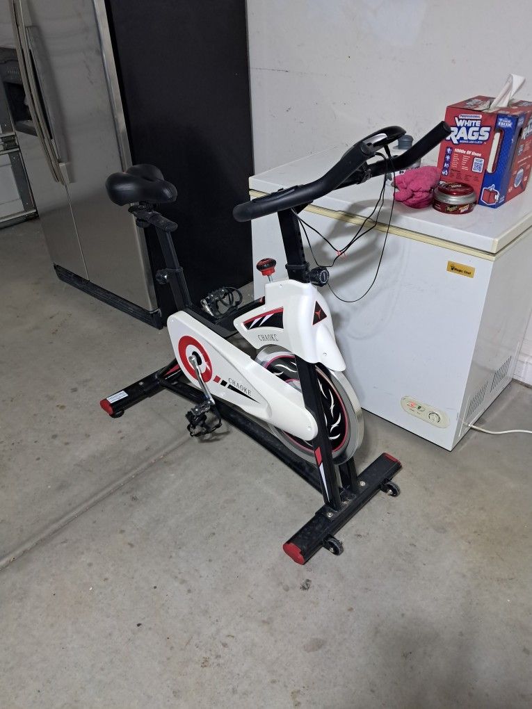 Chaoke Exercise Bike