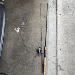 Fishing Combo (Rod & Reel) Daiwa Fishing Rod and Plueger Fishing reel