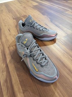 Nike Lebron 23 size 11