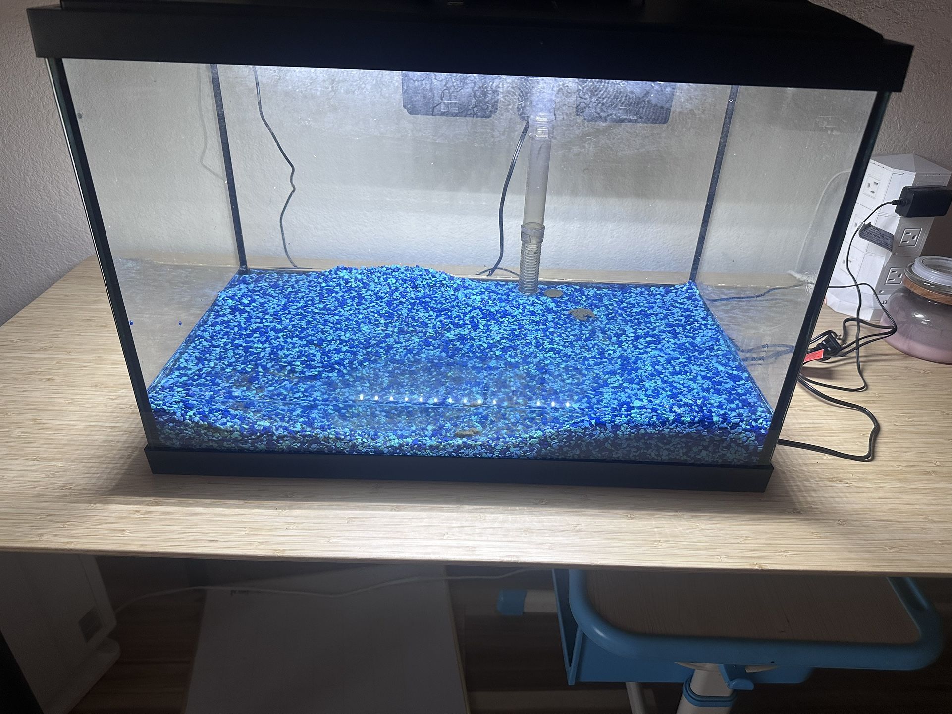Pending Pick Up Free 30 Gal Fish tank With One Nerite Snail
