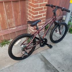 Marin Mountain Bike - (Kids Bike)