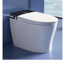 DeerValley Smart Toilet with Bidet, 1000g MaP Auto Flush, Pump Assisted