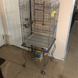 Bird Cage 